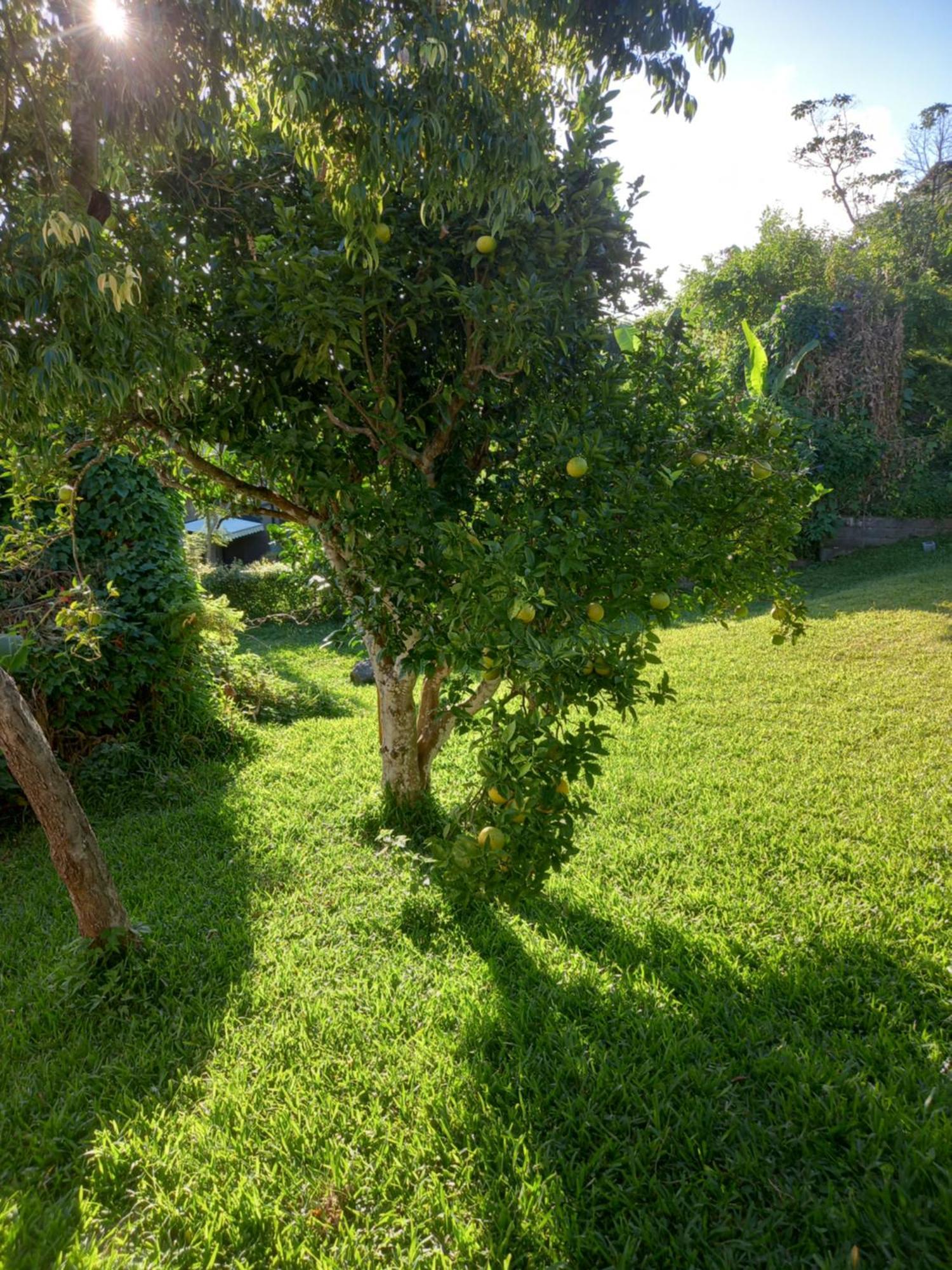 Leutibonheur Villa Saint-Leu Ngoại thất bức ảnh